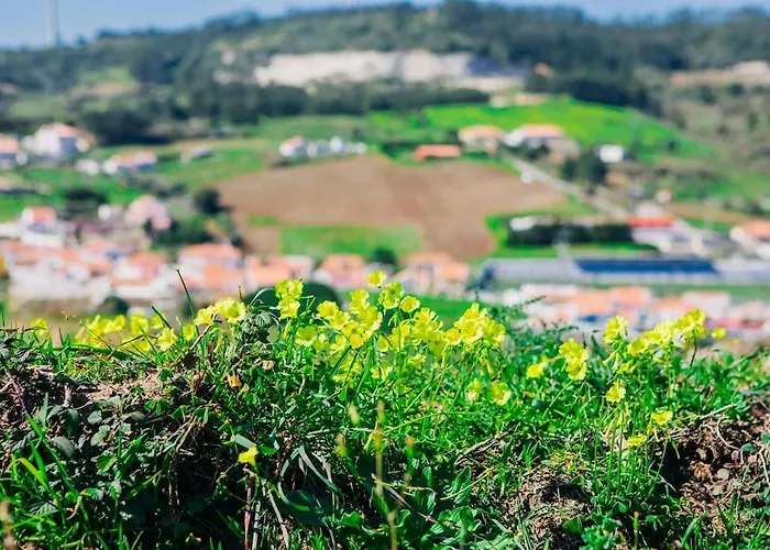 Casa Martins Country No 4 Apartment *